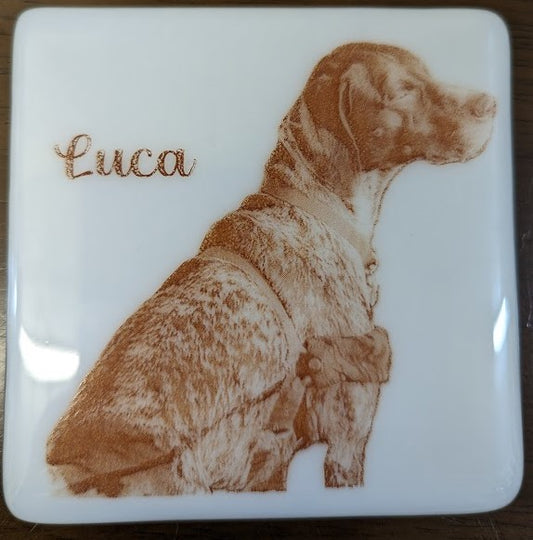Pet Portrait Coaster