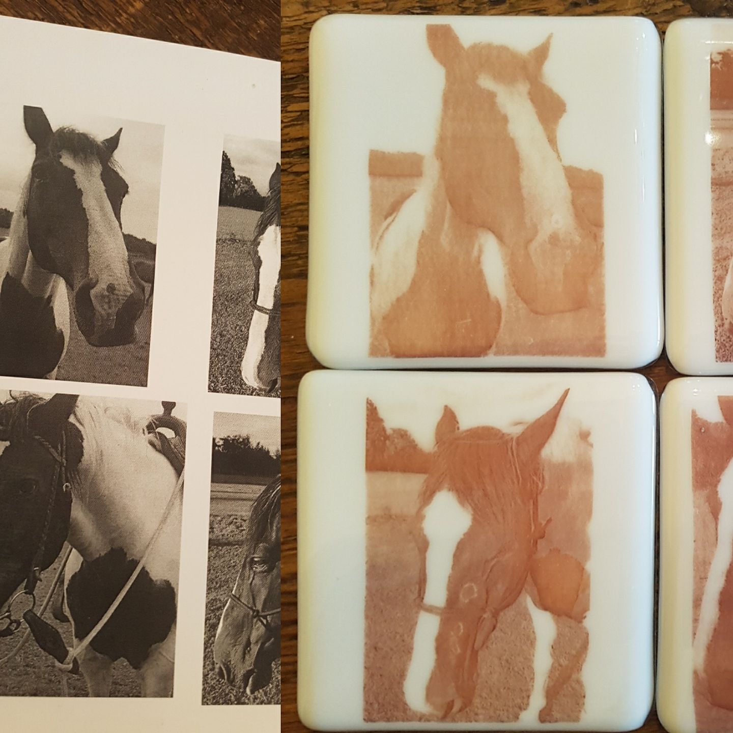Pet Portrait Coaster