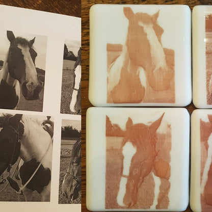 Pet Portrait Coaster